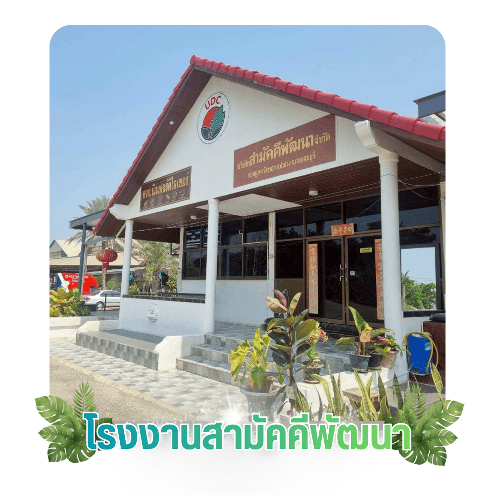 บริษัท สามัคคีพัฒนา จำกัด